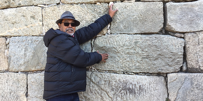Vijeshwar Prasad honorary member
