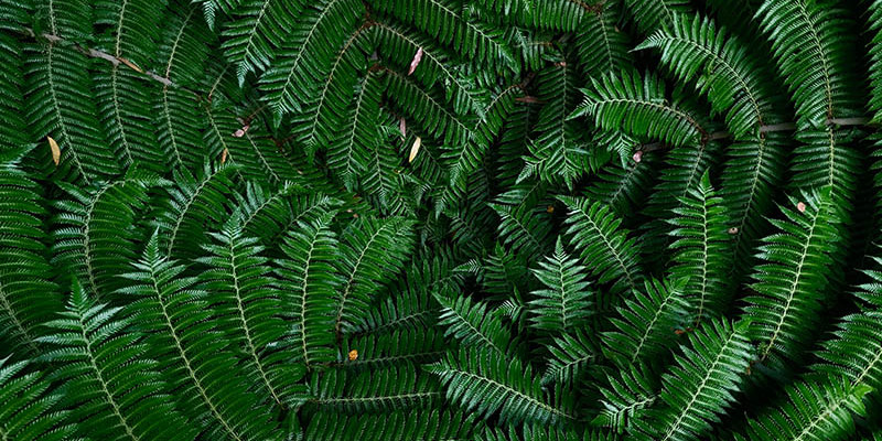 bryn parish IDXsYT5xVEE unsplash
