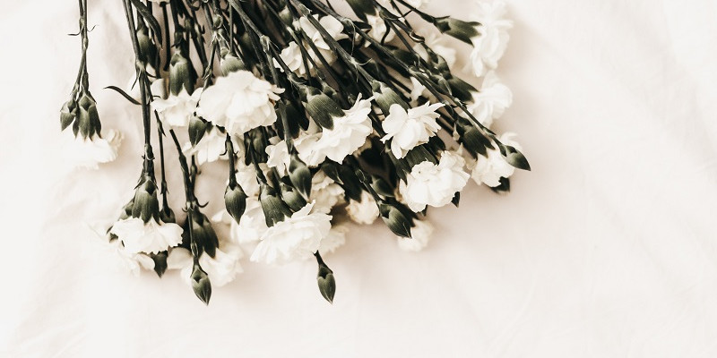 kerri shaver E41FJBN09wc unsplash