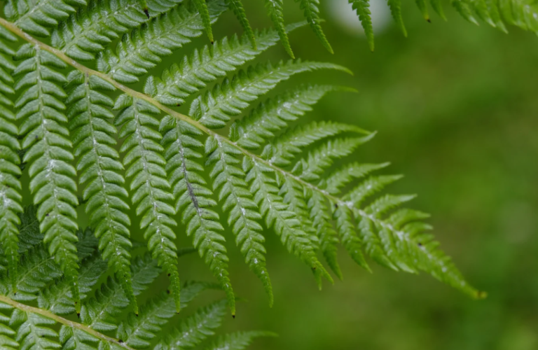 Screenshot 2025 11 25 130911